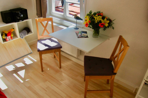 Studio-Apartment in historic town - university, clinics by foot,parking - Gallery - 10
