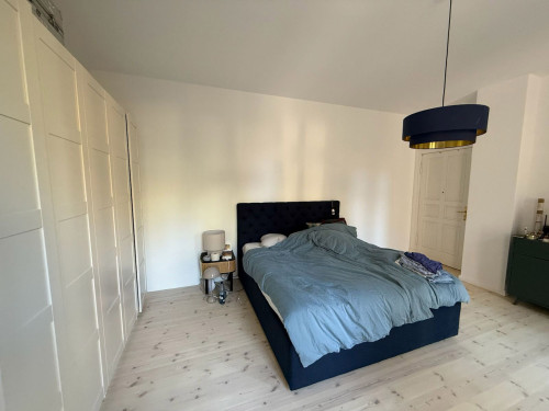 Freshly renovated, spacious apartment in Prenzlauer Berg
