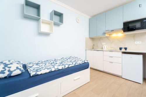 Excellent studio near the Prague-Kačerov train station