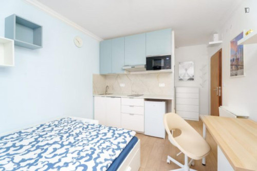 Excellent studio near the Prague-Kačerov train station