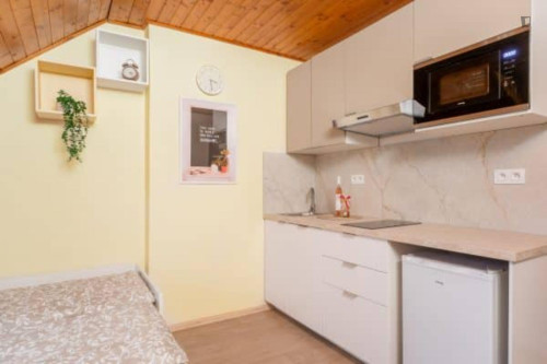 Very comfy studio near the Prague-Kačerov train station