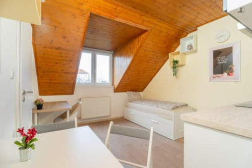 Very comfy studio near the Prague-Kačerov train station