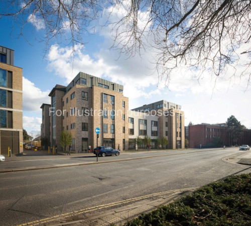 Wilson House  - Gallery -  5