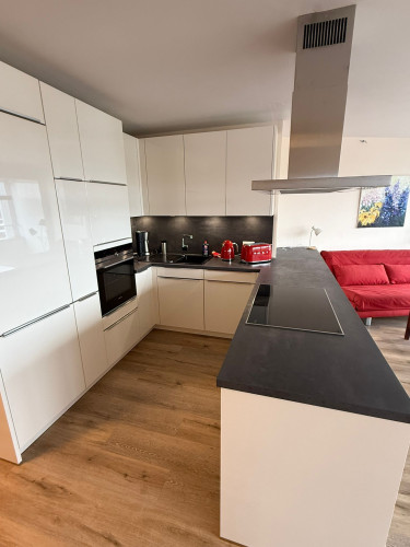 Modern and Newly Renovated Apartment in the Wikingturm