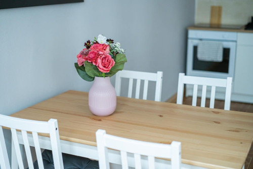 Modern apartment in Görlitz