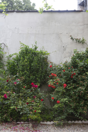 Charming Coliving Oasis with Artistic Flair in Vibrant Saint-Josse