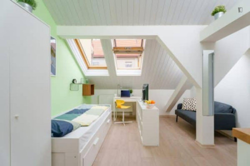 Attractive studio in the Jezerka district