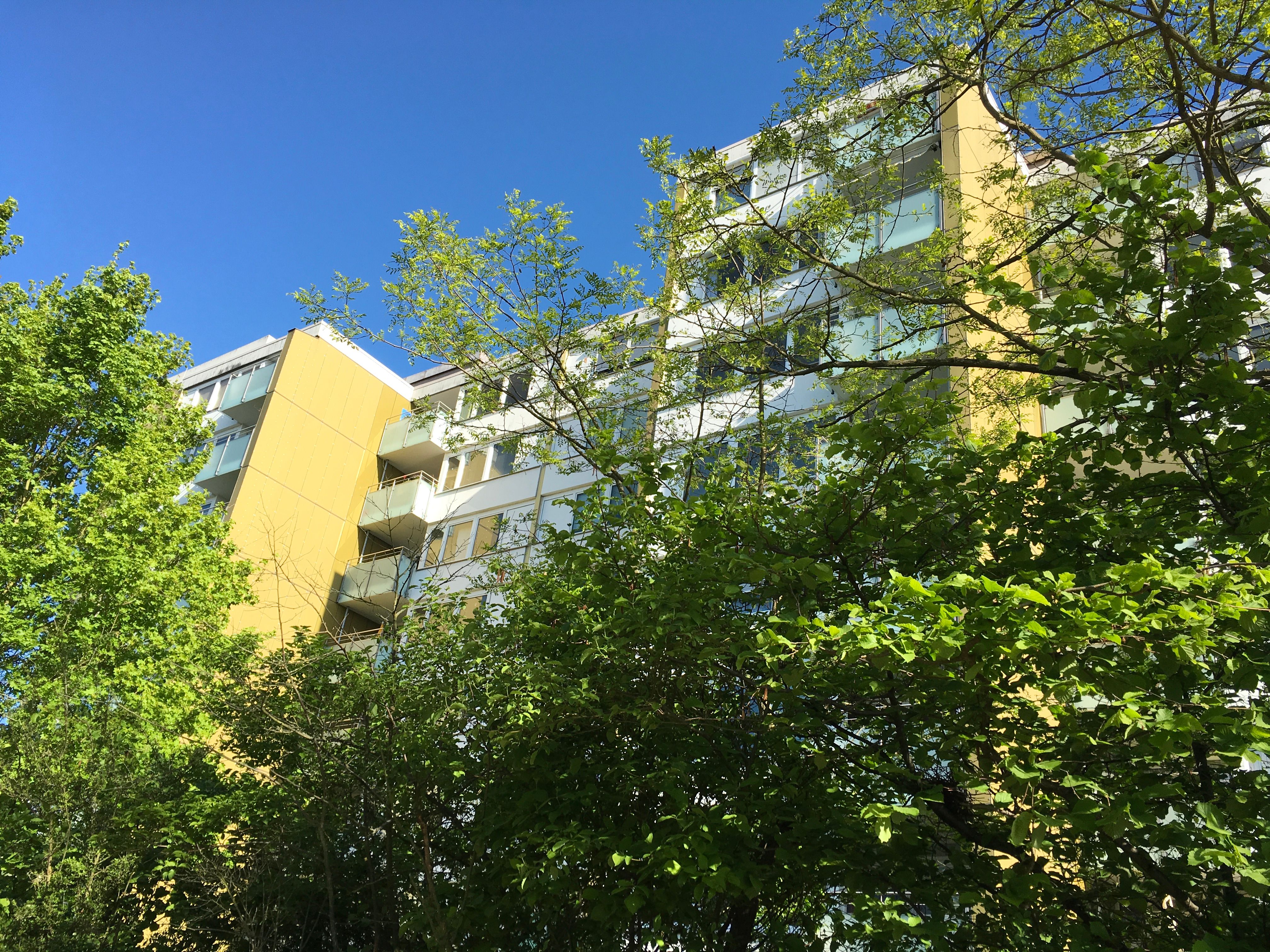  Quiet, Sunny, Cozy Home With A View, Mainz-Finthen.  -  Quiet, sunny, cozy home with a view, Mainz-Finthen.  - Gallery -  8