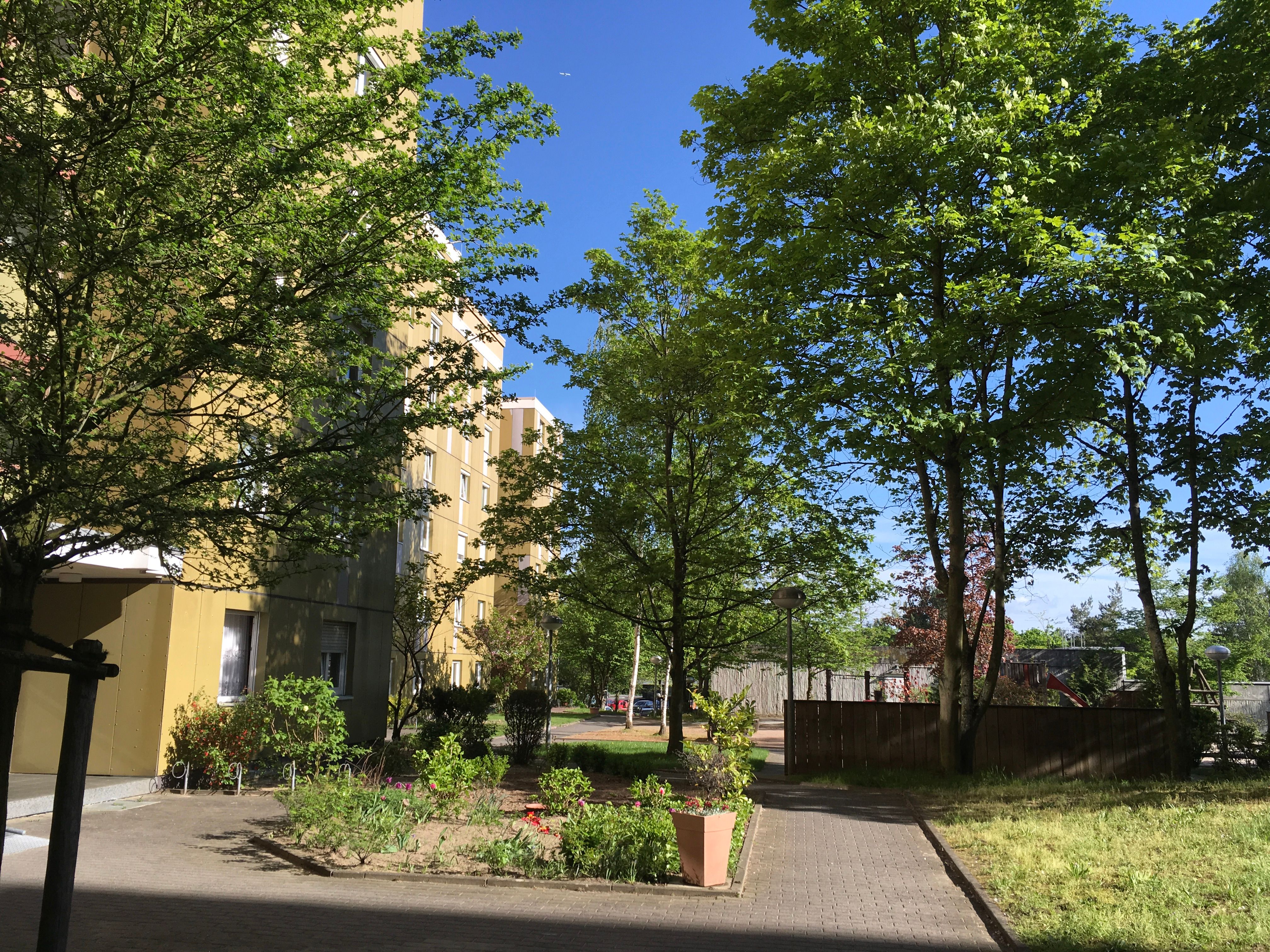  Quiet, Sunny, Cozy Home With A View, Mainz-Finthen.  -  Quiet, sunny, cozy home with a view, Mainz-Finthen.  - Gallery -  7