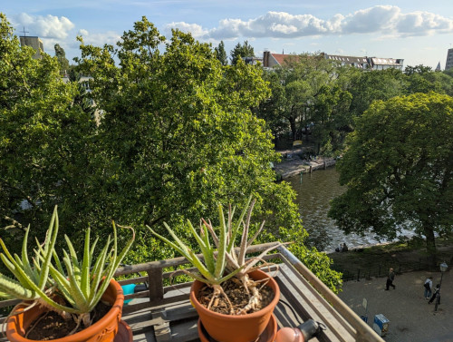 Bright apartment with view onto Landwehrkanal