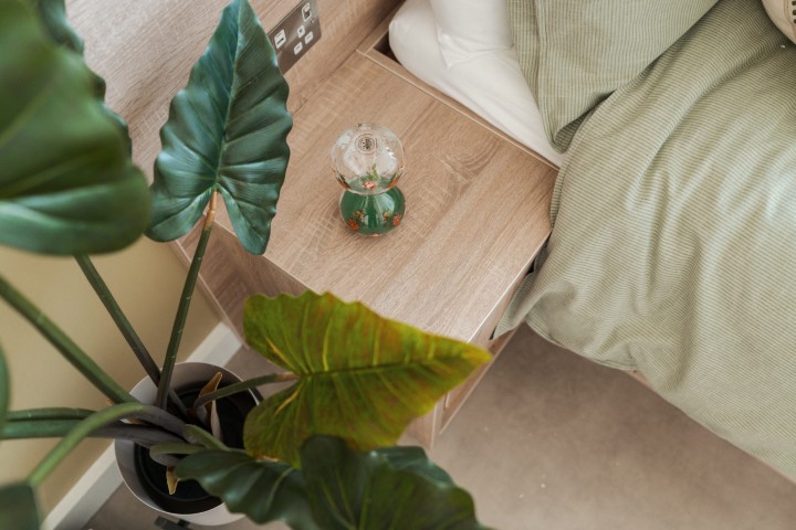  Superior En-Suite  -  Deptford  - Gallery -  4
