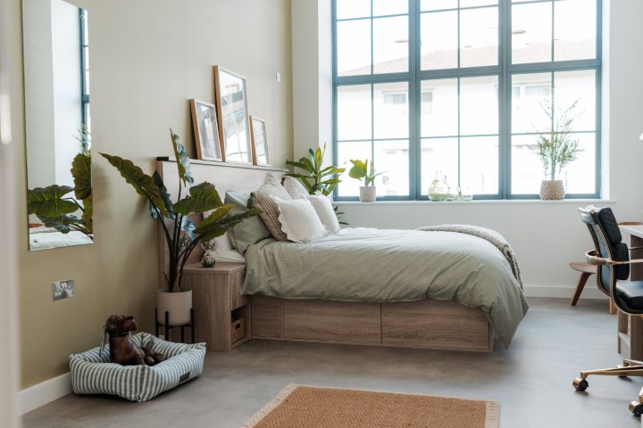 Superior En-Suite  -  Deptford  - Gallery -  7