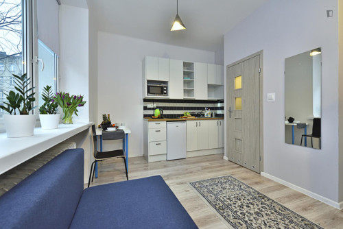 Appealing studio in Śródmieście - Gallery - 4