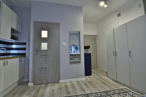 Appealing studio in Śródmieście - Gallery - 9