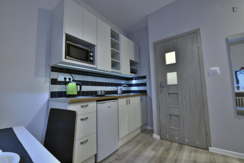 Appealing studio in Śródmieście - Gallery - 6