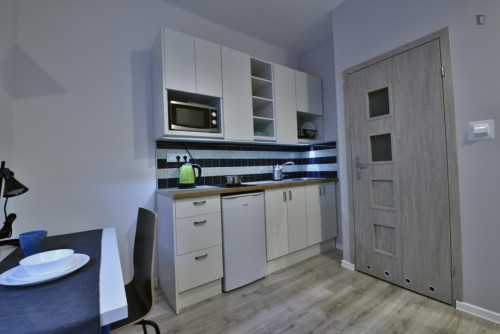 Appealing studio in Śródmieście - Gallery - 5
