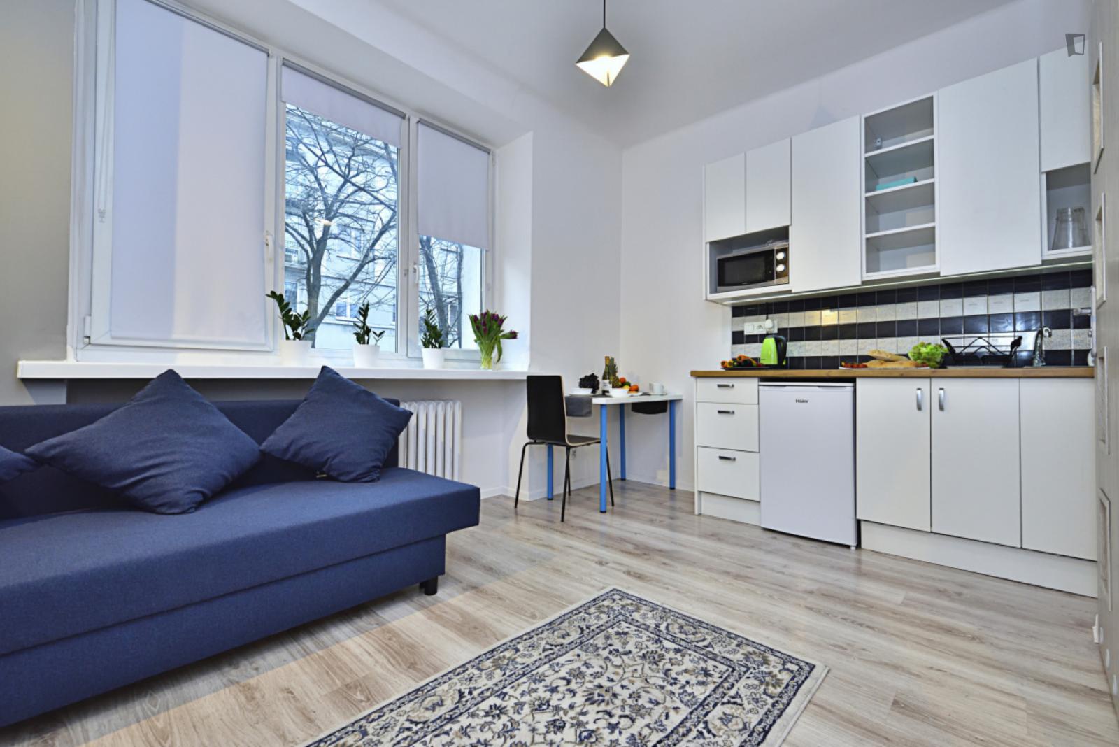 Appealing Studio In Śródmieście - 1