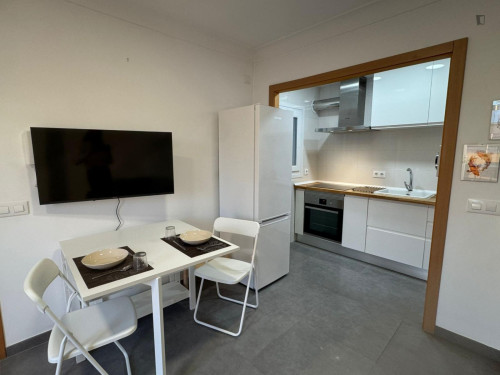 Cool 2-bedroom attic with spacious outdoor area close to the city center
