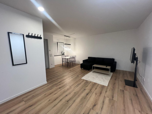 Modern, Newly Furnished Apartment in Mainz-Kostheim