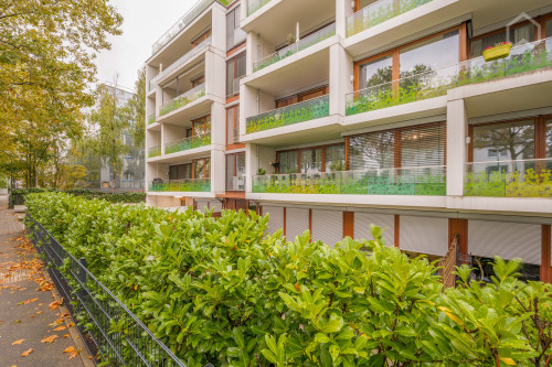 Large & bright 2 room apartment in the zoo district of Düsseldorf