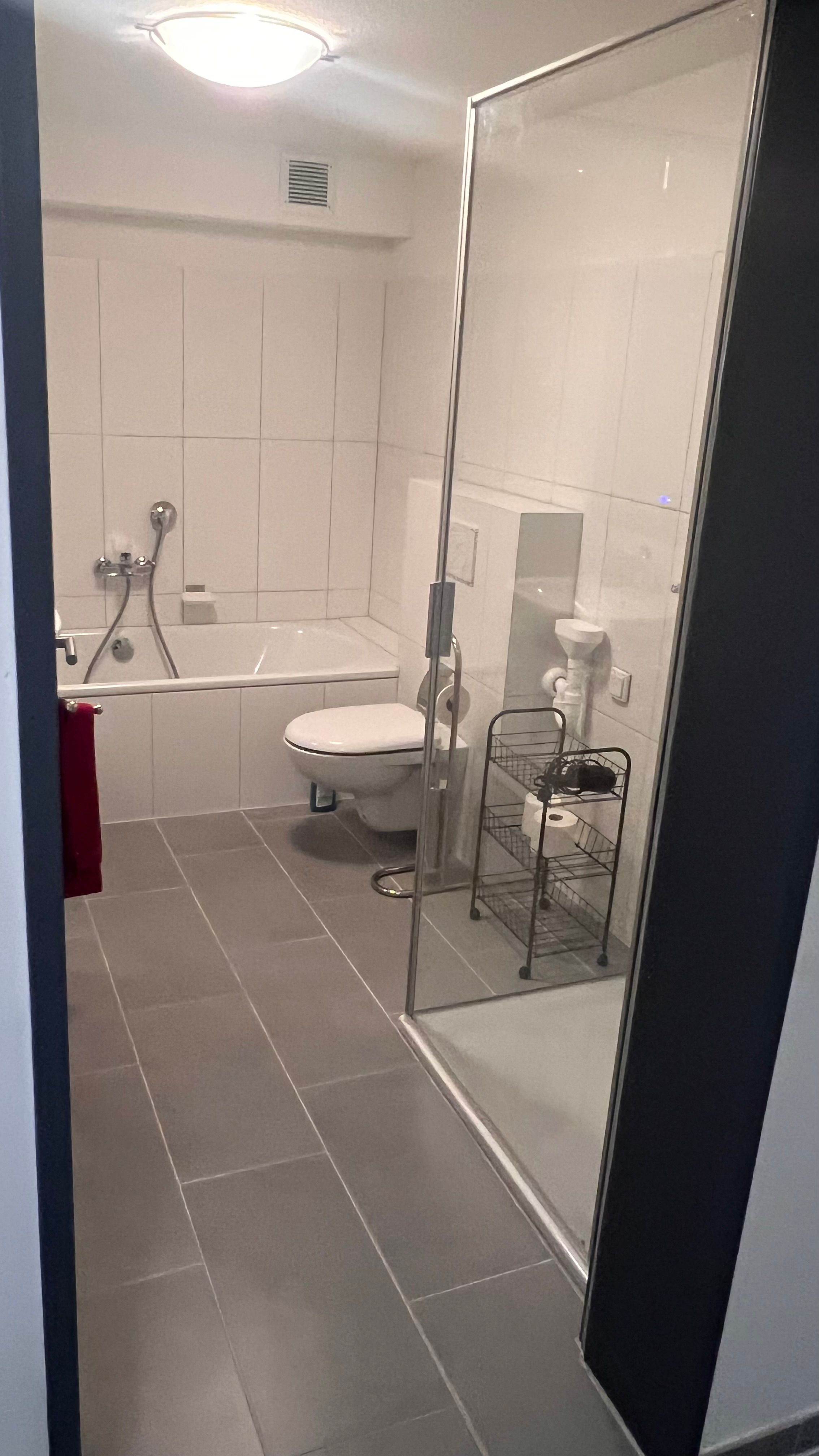 Exclusive Architect-Designed Home In Euskirchen: Stylish Garden & Newly Renovated Apartment - 10