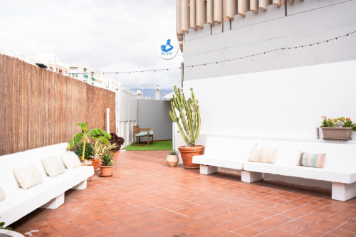 Fernando Salazar Gonzalez Home - Gallery - 24