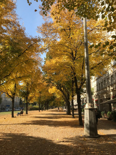 Lovely & fashionable apartment in Friedrichshain - Good for Families