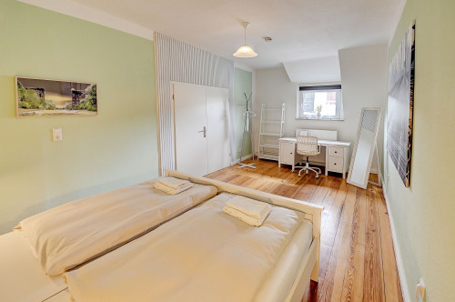 Cozy, bright home, very central, perfect for business travelers.