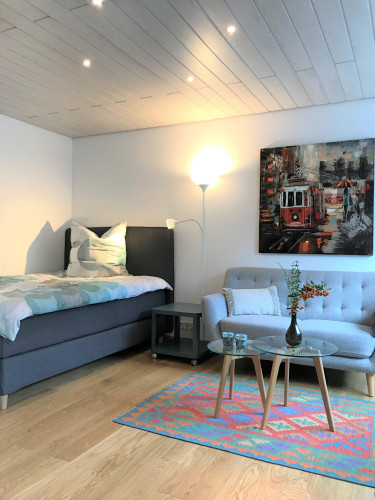 Furnished, bright 1-room flat with balcony and shared garden in a quiet residential area in Stuttgart-Nord - All-In