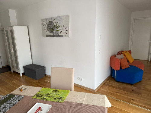 Wonderful and spacious home (München)