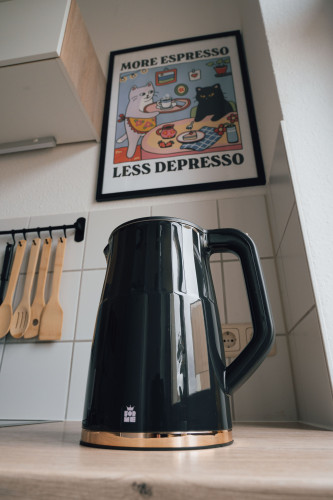 Modern furnished apartment for rent in Dresden, Friedrichstadt!