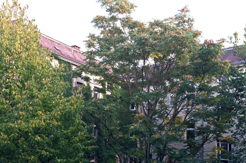 Bright, awesome fully furnished home in excellent and quiet location (Berlin Moabit), 1 bike for free