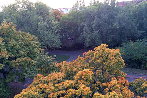 Bright, awesome fully furnished home in excellent and quiet location (Berlin Moabit), 1 bike for free