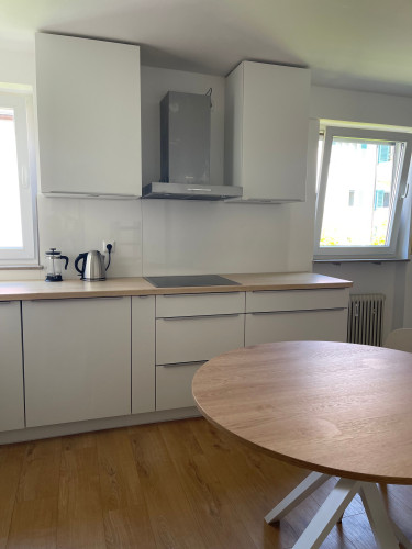 Central Furnished Apartment in Quiet Courtyard in Stuttgart