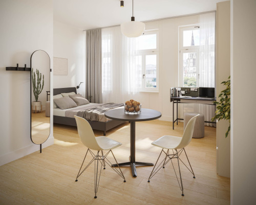 First occupancy: refurbished old building meets view - furnished 1-room flat