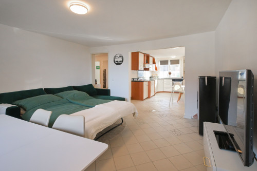 Large family apartment in central Sasbachwalden