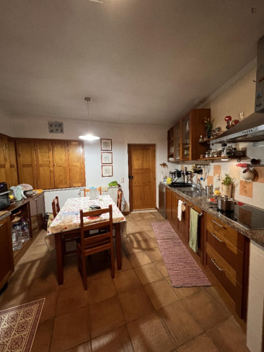 Cozy Double Bedroom in Miranda do Corvo