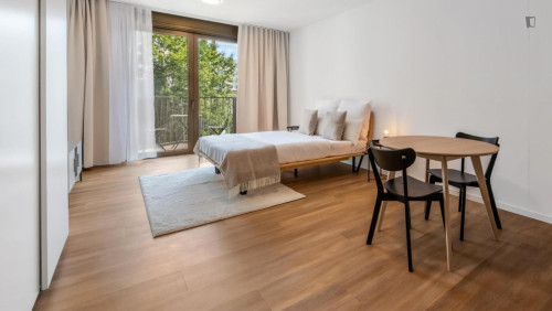 Admirable studio in Moabit