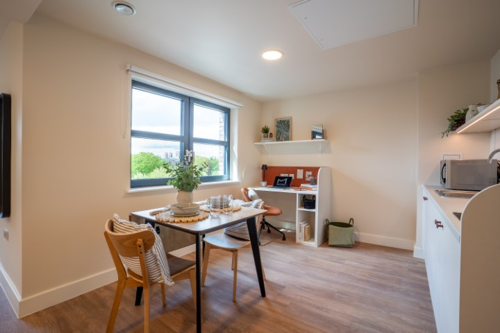 Deluxe Studio -Dual Occupancy - Valerian - Gallery - 3