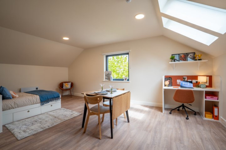 Deluxe Plus Studio -Dual Occupancy - Valerian - Gallery - 4