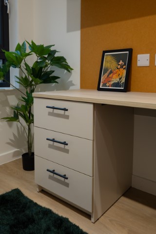 Premium Plus En Suite - Telephone House - Gallery - 16