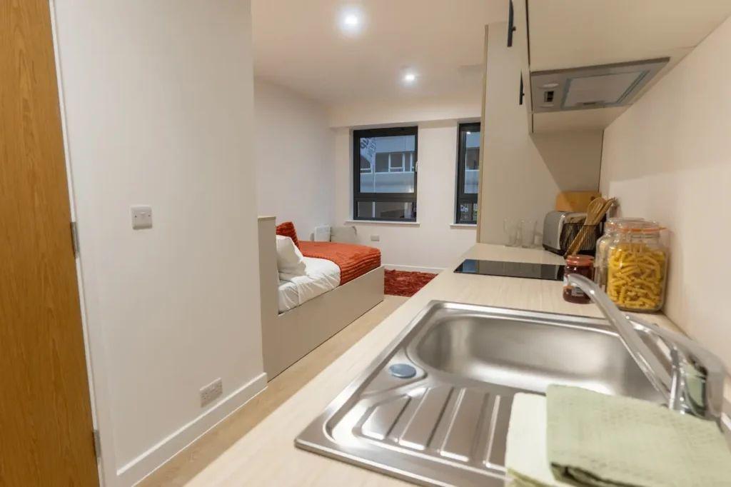 Penthouse Executive Studio - 61