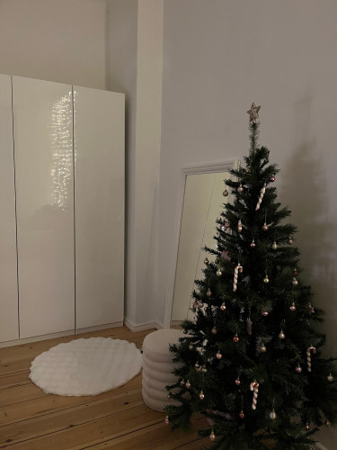 Cozy furnished flat - 3 rooms