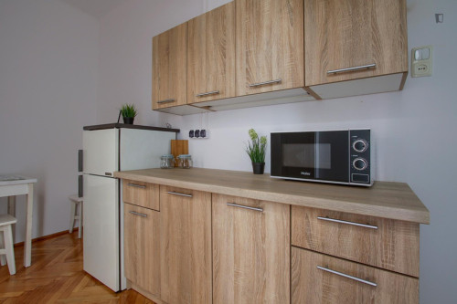 Comfy single bedroom near Park Morskie Oko - Gallery - 5