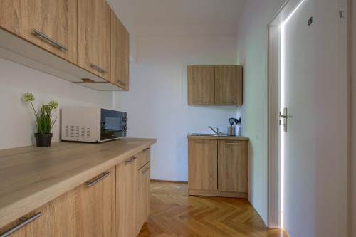 Comfy single bedroom near Park Morskie Oko