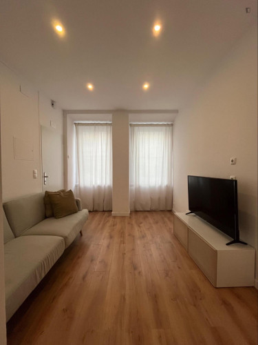 Modern 3 Bedroom Apartment with a Terrace close to Arroios Metro
