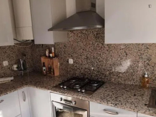 Cozy Single Bedroom close to Nova SBE University