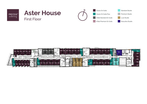 Aster House - Gallery - 14
