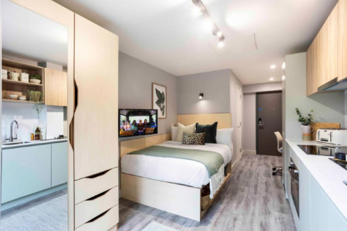 Aster House  - Gallery -  5