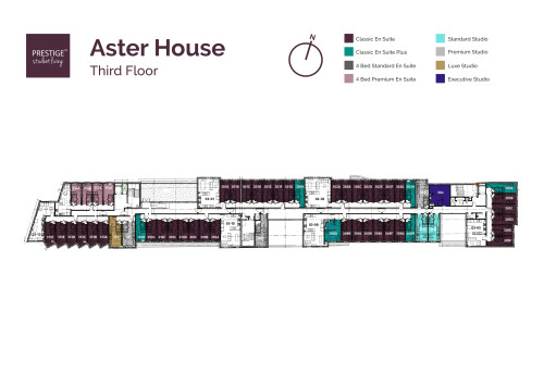 Aster House - Gallery - 16